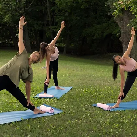 Srebrny Dzwon מלון