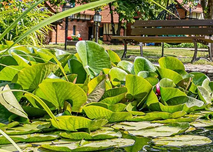 Srebrny Dzwon 3* Kadyny